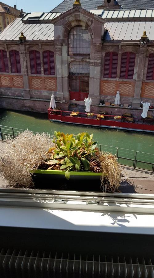 New ! Vue Petite Venise, Place To Be - Parking Κολμάρ Εξωτερικό φωτογραφία