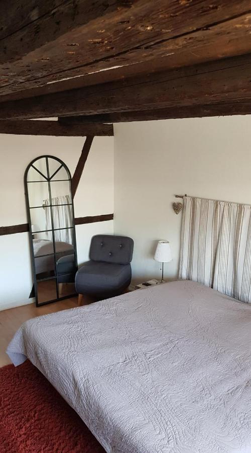 New ! Vue Petite Venise, Place To Be - Parking Κολμάρ Εξωτερικό φωτογραφία